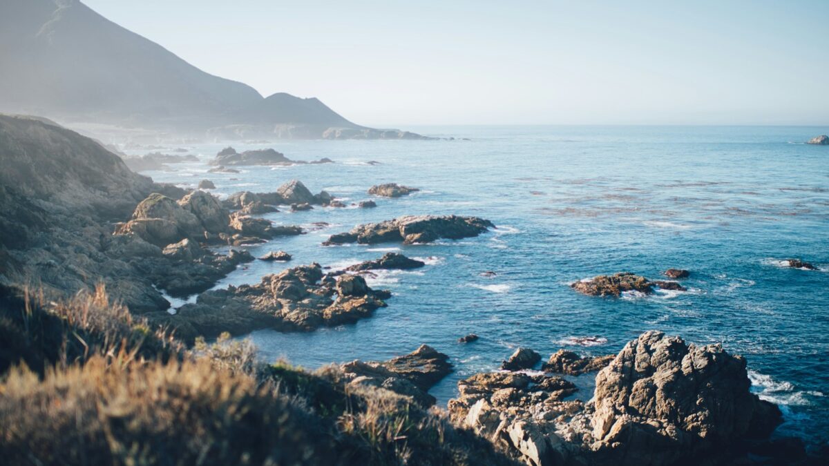 ocean view during daytime